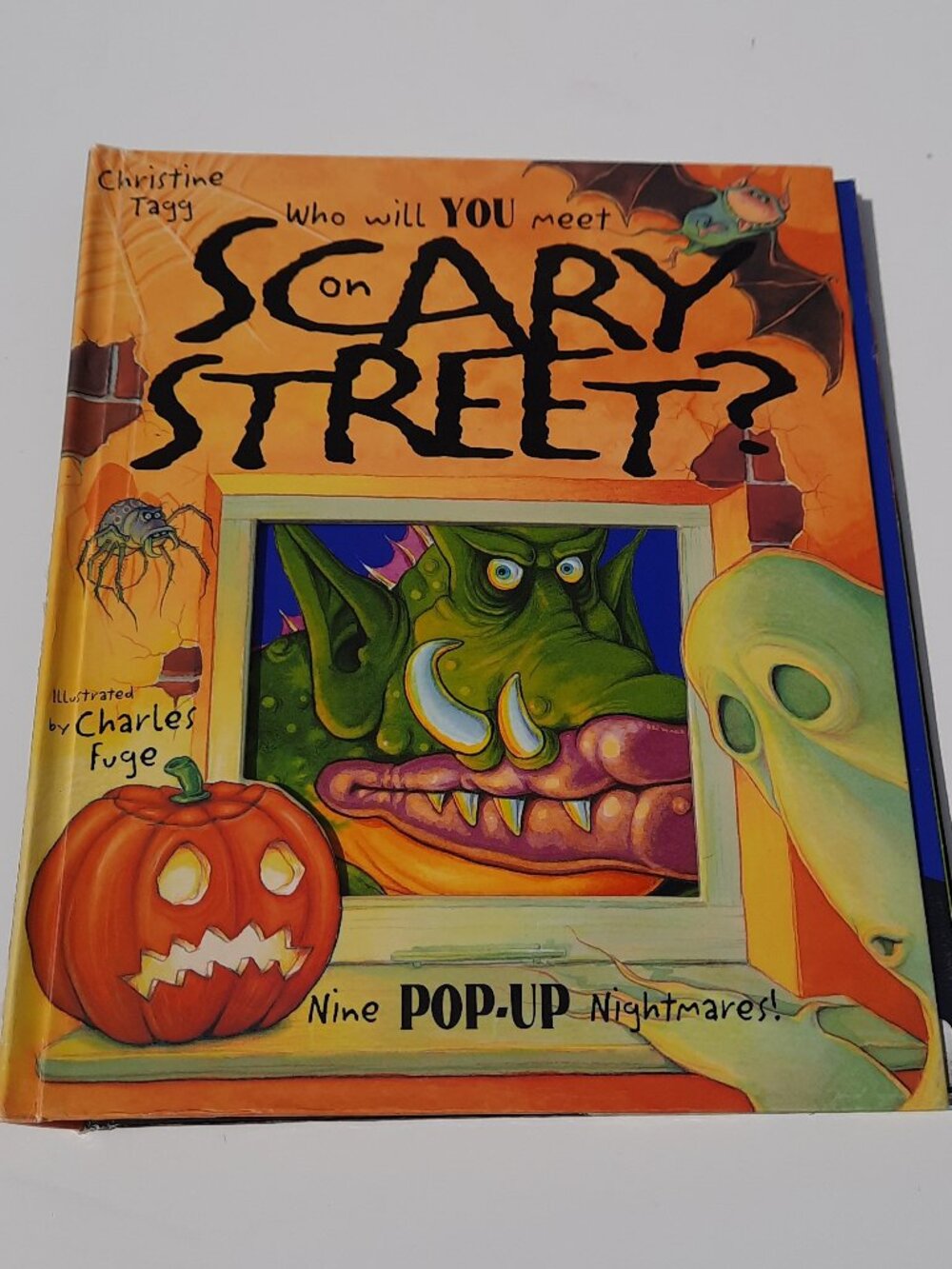 Who Will You Meet in Scary Street?: Nine Pop-Up Nightmares by Christine Tagg